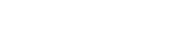 primeforce_logo